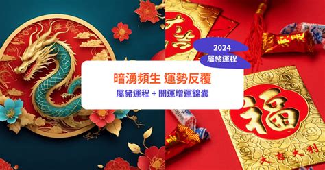 2024年生肖猪|【屬豬2024生肖運勢】暗湧頻生，運勢反覆｜屬豬運 